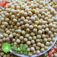 东北笨小黄豆-500g装东北笨小黄豆打豆浆专用