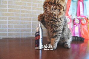 宅猫酱猫咪专用鱼油营养美毛护肤亮背减少脱毛冰岛鱼油含牛磺酸美毛油