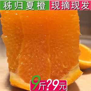 橙子夏橙当季橙子非赣南脐橙橙子9斤橙新鲜孕妇水果包邮10斤批 发脐橙水果