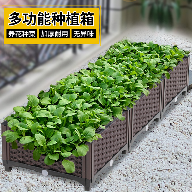 共1630 件家用蔬菜种植箱相关商品