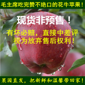 现货天水礼县花牛苹果红元帅水果宝辅食刮泥粉面礼品蛇果五斤花牛苹果水果