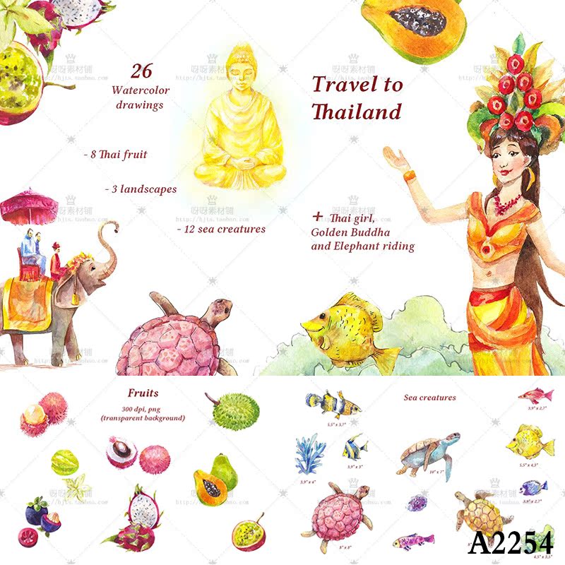 手绘水彩泰国旅游水果海洋生物大象卡片海报装饰png免扣设计素材