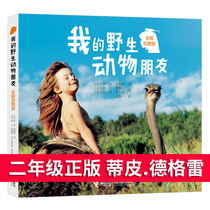 正版我的野生动物朋友二年级必读经典书目蒂皮德格雷完整版非注音人与自然科学动物科普儿童启蒙故事书6-12岁小学生课外阅读书籍en