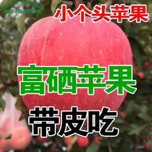 山东烟台小苹果水果新鲜脆甜栖霞红富士冰糖心胜陕西吃的包邮13斤苹果水果