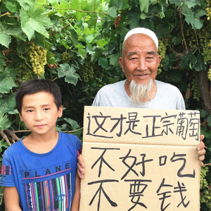 新疆特产吐鲁番无膨大剂无促干剂风干天然葡萄干500g包邮孕妇零食葡萄干