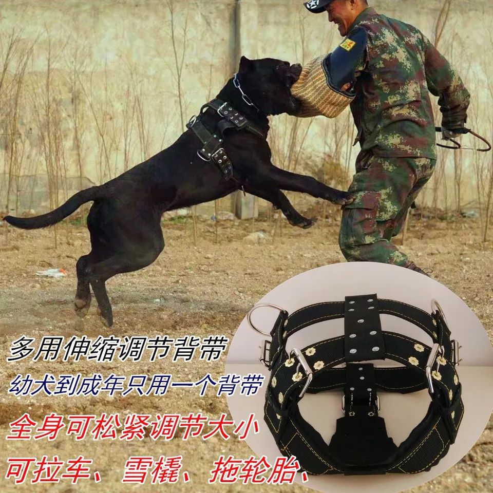 猛犬大型狗宠物狗比特犬训练用品装备专用军绿背带胸带牵引肩背带