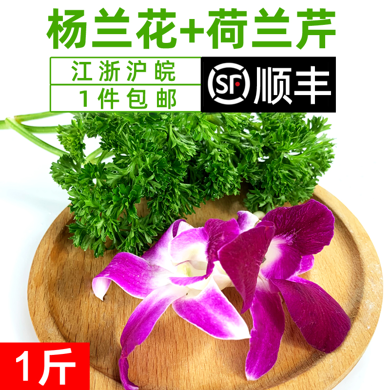 摆盘兰花种植|摆盘兰花做法|摆盘兰花食谱|功效