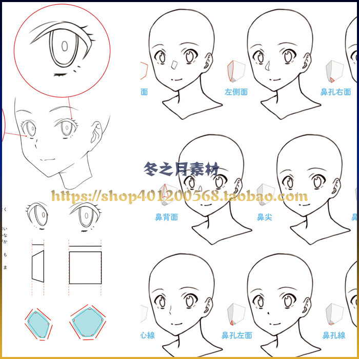 人体结构 表情动态姿势 五官绘画 线稿教程