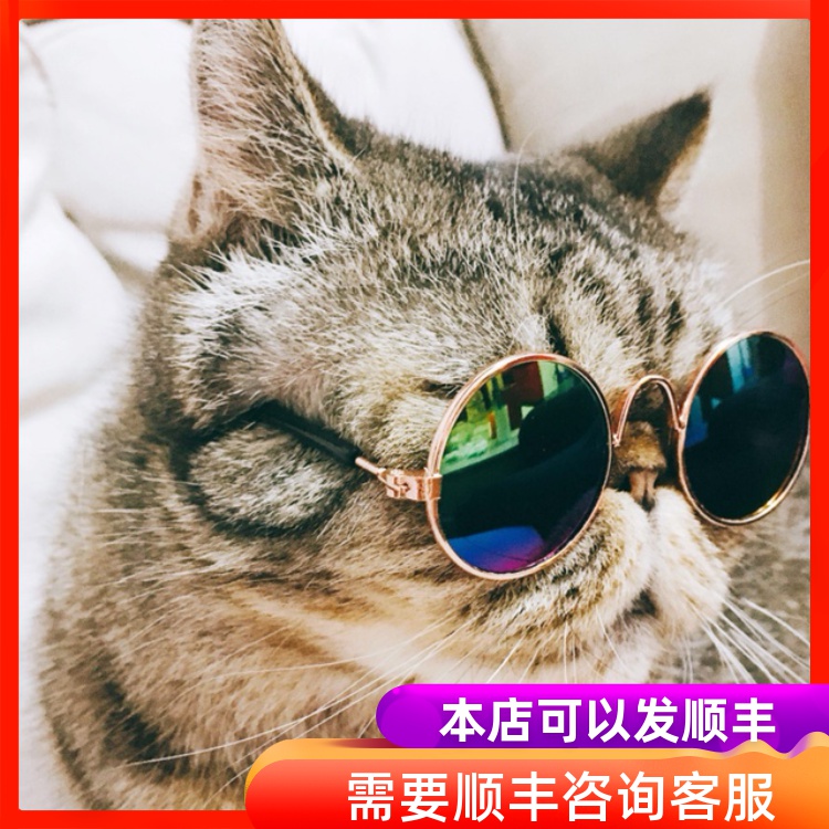 宠物狗狗猫咪眼镜搞怪加菲泰迪蓝猫墨镜 抖音同款眼镜 拍照