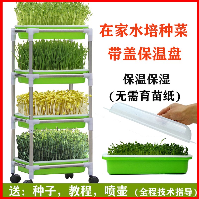 无土种菜神器家用家庭发盆蒜育苗托盘无土栽培通用塑料豆长方形水