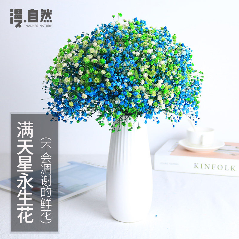 云南满天星干花大束永生花花束家居摆设小清新装饰鲜花插花摆件