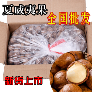 新货夏威夷果整箱10斤包邮 奶油味澳洲夏果送开口器 5斤批坚果发夏威夷果