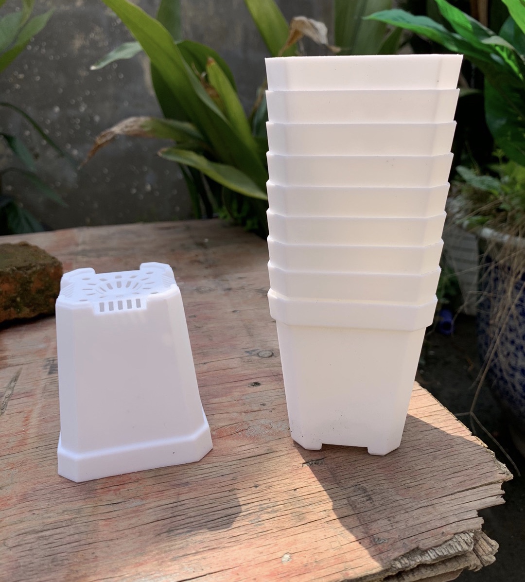 加厚款7方盆小方大方7cm方花盆小黑方小白方多肉植物塑料花盆