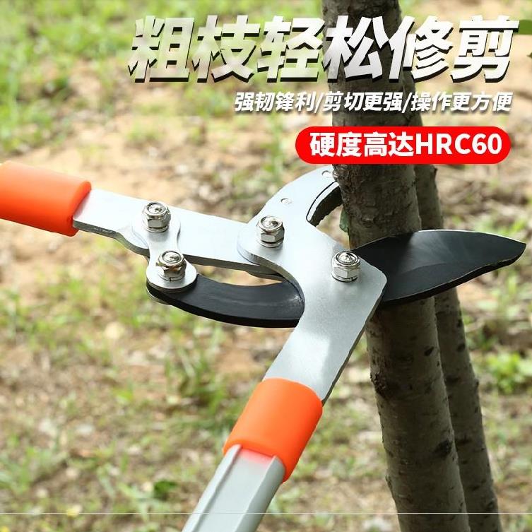 桃园伸缩剪果树通用手持式.大力盆景花修剪刀大枝剪省力绿化大号