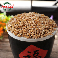 饲料10-幼兔成兔宠物兔粮 兔子饲料 抗球虫 消