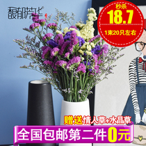 云南天然大束勿忘我干花花束真花满天星家居摆设客厅装饰鲜花水养