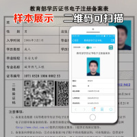 高级下注册码-修改制作二维码截图数码大师20