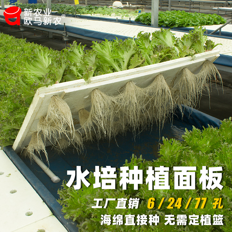 无土栽培种植设备水培蔬菜鱼菜共生漂浮水池定植板水上种菜发泡板