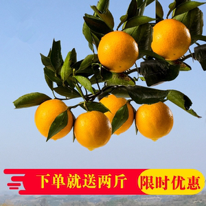 麻阳冰糖橙新鲜水果甜橙包邮农家冰糖柑非赣南脐橙永兴秭归橙子脐橙水果
