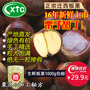 2016年正宗迁西板栗生新鲜紫玉野生大粒甘甜栗子坚果零食特产包邮板栗生