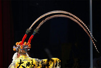 2米通翎子-地鸡毛俏花旦头饰翎子齐天大圣孙悟