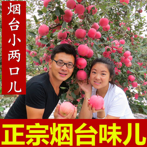 小两口 现货烟台苹果新鲜水果 山东栖霞红富士苹果10斤孕妇带皮吃苹果水果