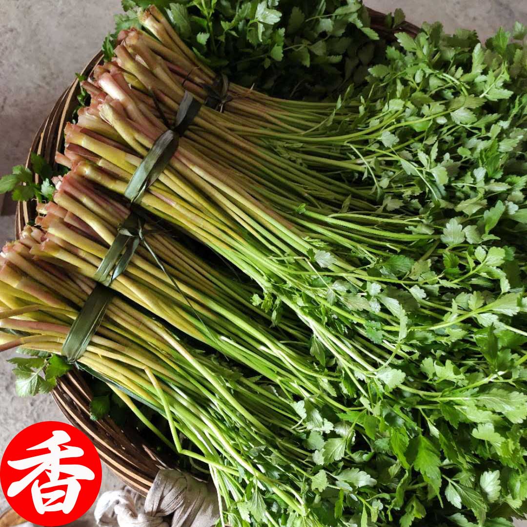 新鲜野生水芹菜小叶水芹菜农家野菜蔬菜湖南5斤泡沫箱装保鲜发货