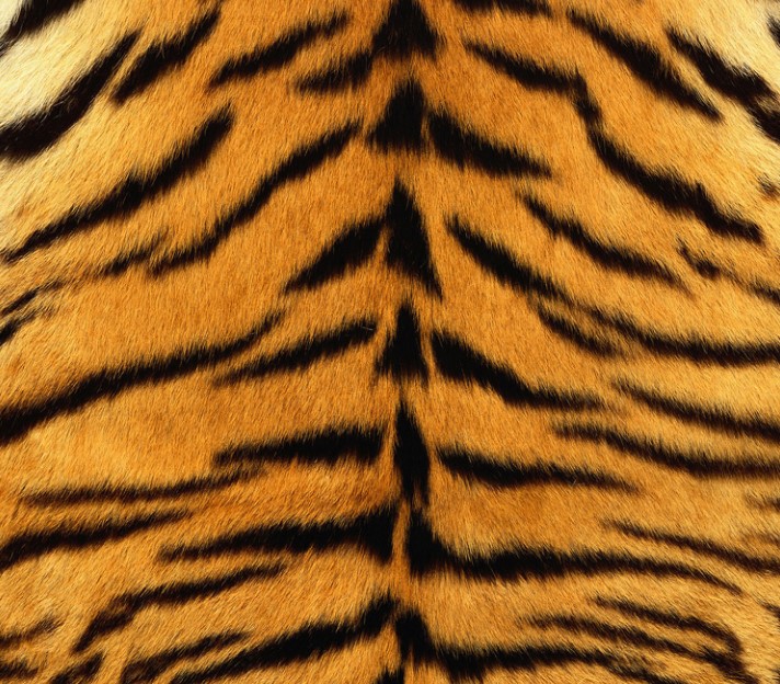高分辨率动物毛发皮肤材质高清贴图合集/maya3dmax写实动物毛皮贴