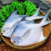 成都海鲜配送-0g活虾活基围虾 空运 成都海鲜生