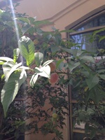 打电话只要6分钱自动发货-元自动发货好评5个