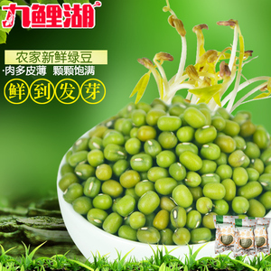 九鲤湖 绿豆 500g*3袋 新鲜绿豆五谷杂粮精选农家绿豆粮油特产绿豆新鲜
