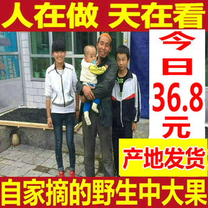 黑枸杞 青海诺木洪野生黑枸杞大果正宗精装特产黑枸杞包邮黑枸杞