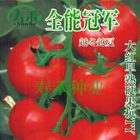 F73-583荷兰瑞克斯旺-越夏番茄种子-百灵-10粒