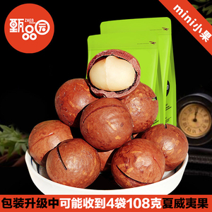 【甄品园】坚果零食袋装夏威夷果干果 坚果奶油味零食200g*2袋夏威夷果