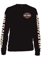 摩托车2013年 美国哈雷883N大排量巡航太子车