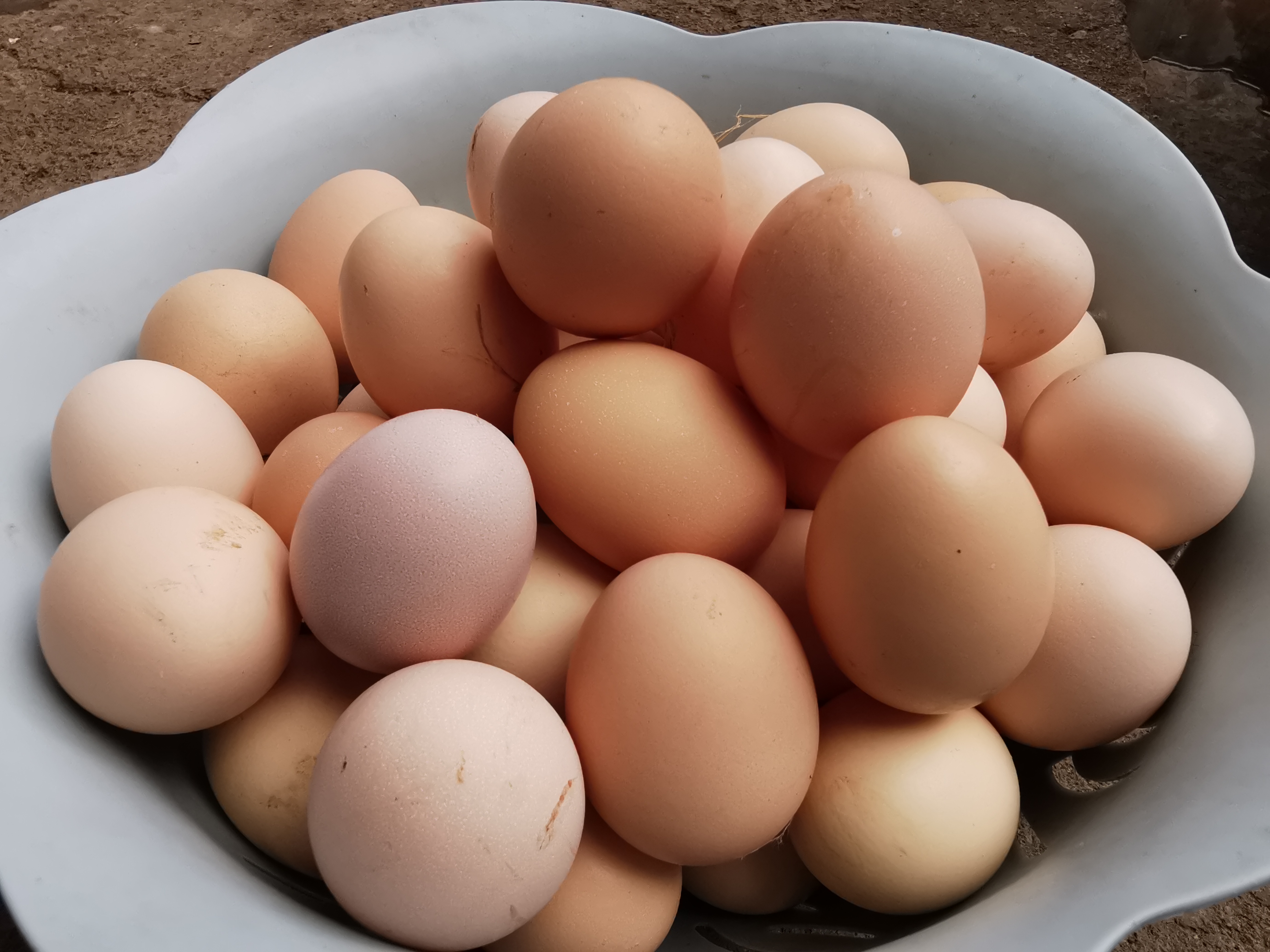 新鲜土鸡蛋 正宗农村放养天然60枚装草鸡蛋 土鸡蛋 笨鸡蛋 土鸡蛋