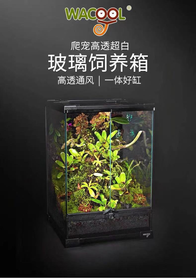 wacool玩酷雨林缸造景植物热带雨林生态缸爬虫蜥蜴角蛙爬宠箱饲养