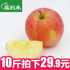新鲜水果红富士苹果10斤 临猗水果苹果 非阿克苏烟台苹果新鲜