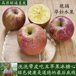 现摘云南昭通野生丑苹果冰糖心孕妇新鲜水果现摘现发大果10斤包邮苹果水果