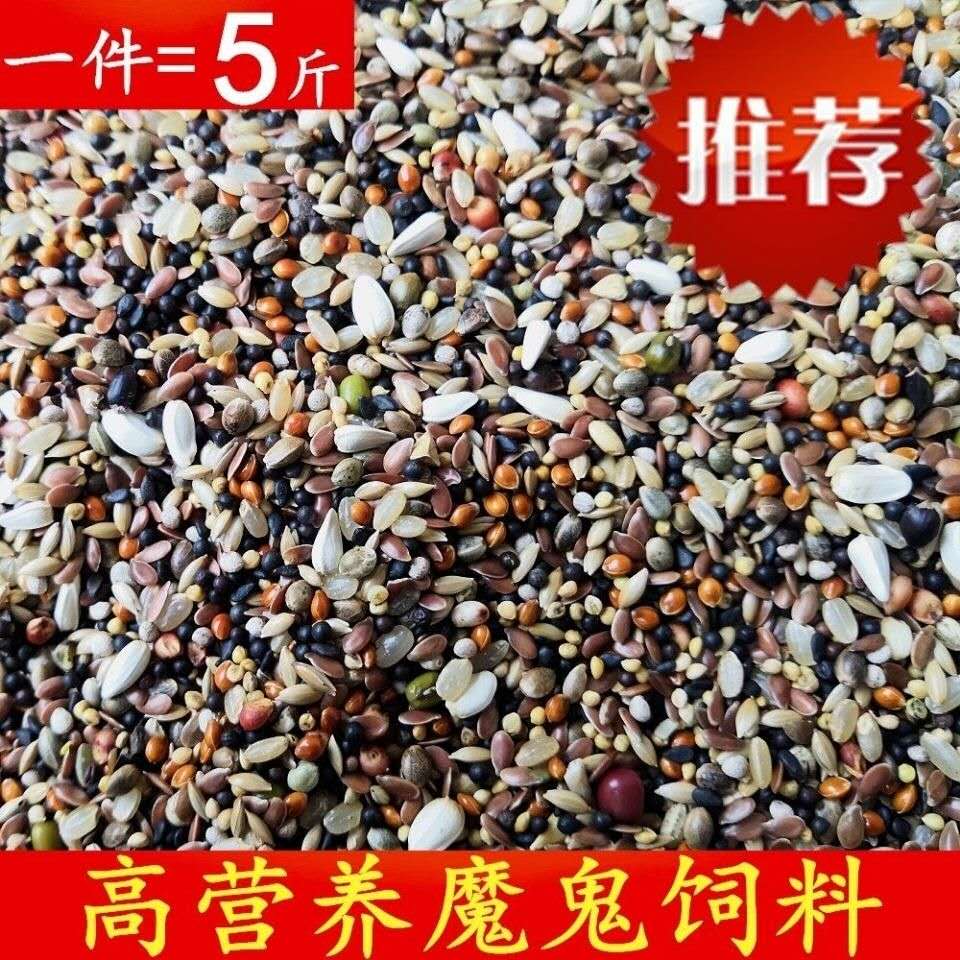 魔鬼鸽粮赛鸽信鸽观赏鸽肉鸽饲料精品小颗粒育雏粮5斤多省包邮