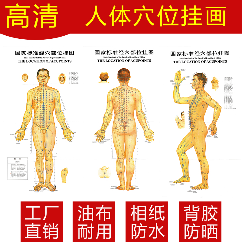 共253 件十二经络挂图相关商品