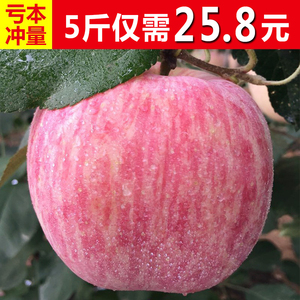 新鲜苹果水果山东烟台栖霞红富士不打蜡生鲜平果5斤包邮吃的苹果水果