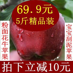 现货 新鲜水果 花牛苹果礼县粉甜刮泥花牛面苹果蛇果特价4斤送1斤苹果水果