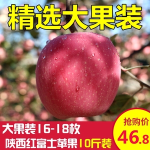 陕西红富士苹果农家新鲜苹果吃的脆甜苹果水果大果10斤包邮苹果水果