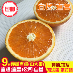宜橙橙秭归当季现摘脐橙子不打蜡酸甜榨汁鲜橙包邮新鲜水果9斤脐橙水果