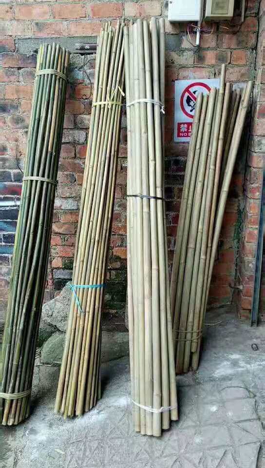 竹竿楠竹菜园搭架细竹竿竹杆竹子2米竹竿舞的彩旗杆篱笆竹毛竹