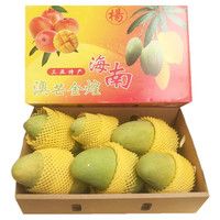 5斤 海南三亚 蜜宝火龙果 红心火龙果 新鲜水果