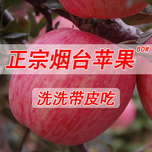 新鲜烟台苹果水果栖霞红富士吃的山东脆甜多汁不打蜡10斤包邮苹果水果