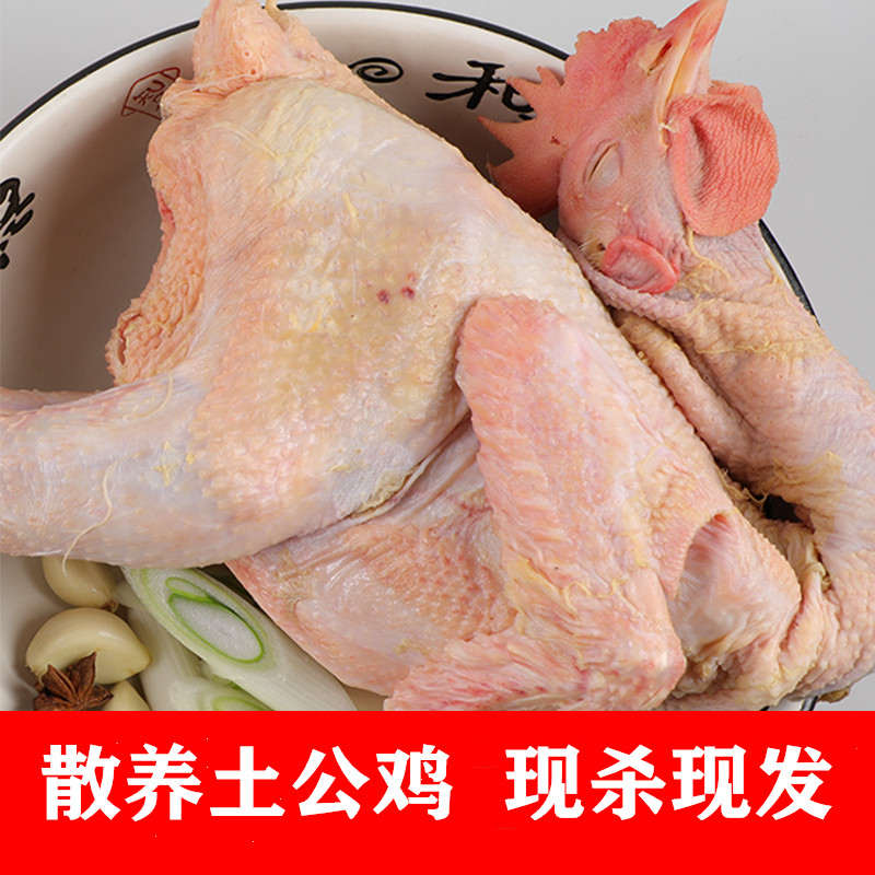 生鲜鸡肉新鲜现杀整只重3斤以上农家散养土公鸡走地鸡肉新鲜冷冻