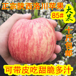 新鲜苹果水果陕西洛川红富士10斤包邮可带皮吃非烟台栖霞阿克苏苹果水果